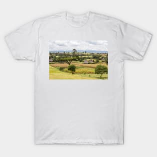 Rural Ethiopian landscape (C024/6044) T-Shirt